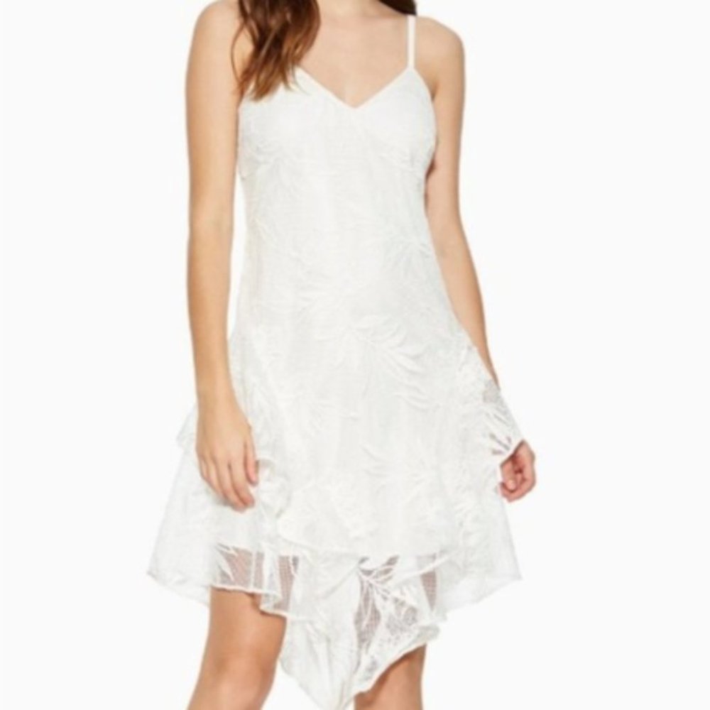 Parker XS Mesh Floral Asymmetric Mini Dress White